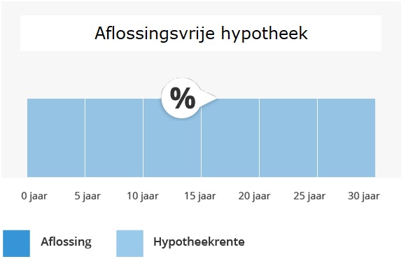 Aflossingsvrije hypotheek